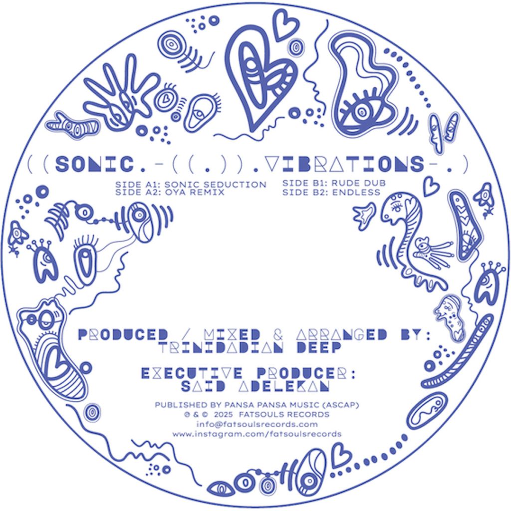 Sonic Vibrations album cover